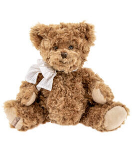 Teddybär Ludwig